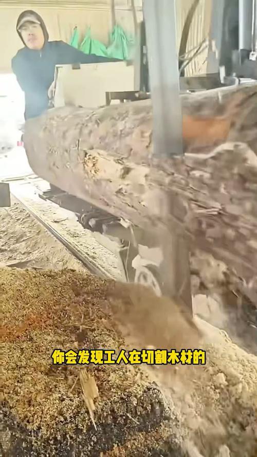 带锯机切割木材的效率有多高？
